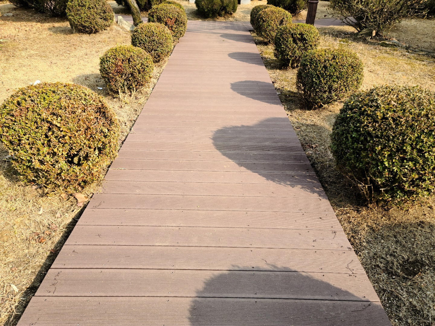 2000769928_rluyWXa0_282a50cef570e4dcefffa5b19ca7287a01bafb2e.jpg 이미지크게보기